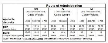 29 High Quality Injection Needle Sizes Chart