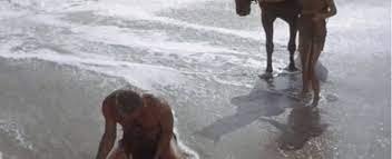 # movies # planet of the apes # cornelius # chimpanzees # roddy mcdowall. Archives Of The Apes Planet Of The Apes 1968 Part 38