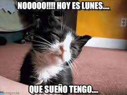 Resultado de imagen de gifs lunes