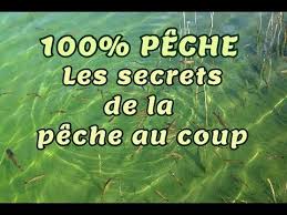 Peche Au Coup Facile Preparation De L Amorce Et Capture Des Poissons Peche Poisson Coups