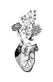 May 25, 2012 · over the past two months nasa has been releasing a number of wonderful long exposure photographs taken by astronaut don pettit aboard the international space station. Anatomical Heart By Mhairi Stella Illustration Anatomicalheart Floraltattoo Tattoodesign Tattoo Anatomy Art Human Heart Tattoo Heart Drawing