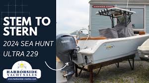 Image result for Tan 2020 Fleet