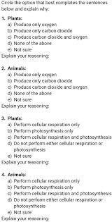 Learn easier by reading intelligent sequences of questions and answers. Do Plants Breathe Nsta