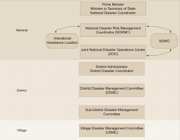 Organizational Structure Of Disaster Management Organization In Timor... |  Download Scientific Diagram