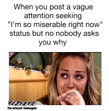 Attention seeker quotesfunny / seeking quotes seeking sayings quotations picture quotes. Attention Seeker Memes