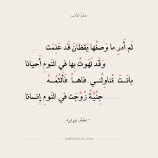 شعر بشار بن برد لا تعذلوني فإني من تذكر ها عالم الأدب Arabic Poetry Math Calligraphy
