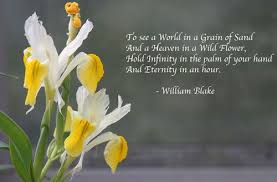 Heaven In A Wildflower Poem Poet Seers Auguries Of Innocence By William Blake Poems By Famous Poets Grain Of Sand William Blake