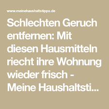 Schlechten Geruch Entfernen Mit Diesen Hausmitteln Riecht Ihre Wohnung Wieder Frisch Meine Haushaltstipps Geruch Entfernen Geruch Hausmittel