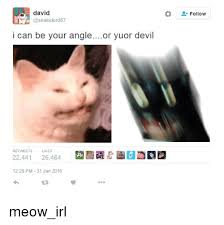 Please consider becoming a supporter today! David Lord87 I Can Be Your Angle Or Yuor Devil Retweets Likes 22441 26464 1220 Pm 31 Jan 2016 Follow Meow Irl Devil Meme On Ballmemes Com