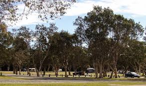 Check spelling or type a new query. Diamond Head Campground Nsw National Parks National Parks Campground Park