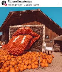 Pin By Anne Vonier On Stones Stone Pumpkins Magazine Collage Rolling Stones