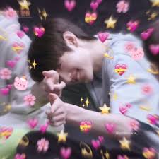 Sunghoon Iland Meme Kpop Di 2020 Meme Lucu Humor Lucu Orang Lucu