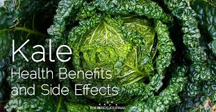 Kale Health Benefits And Side Effects Kale Benefits Health Health Benefits Health