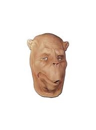 Here is the coolest diy costume idea out there. Camel Mask Maskworld Com