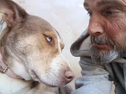 No it's not lamb! Oh, it was guuud! Answer: It was a rabbit :)