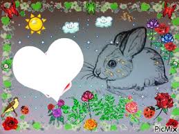 Et sur les accessoires ios, choisir les dernières générations permet des gains importants, spécialement sur le lecteur de cartes sd officiel. Fotomontage Bebe Lapin Dessin Fait Par Gino Gibilaro Avec Soleil Nuages Oiseaux Roses Coccinelles Papillons Pixiz
