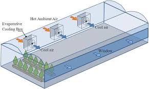 Reporting of greenhouse gas (ghg) emissions by major sources is required by the california global warming solutions act of 2006 (ab 32). Evaporative Cooling Boxes In Greenhouse Download Scientific Diagram