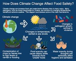 Causes Symptoms Of Waterborne Diseases Effect Of Climate Change