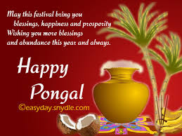 You can add/edit your name, text messages, quotes, company logo, your personal images and whatever you want to make most cool happy pongal greetings and wishes card. Pongal Wishes Messages And Pongal Greetings Easyday