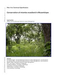 Image result for Ochna dolicharthros