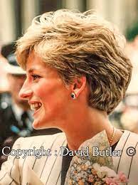 David Davidls6 Princess Diana Photos Lady Diana Princess Diana
