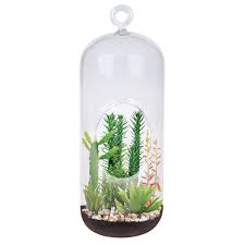 Maybe you would like to learn more about one of these? Superb Succulent Garden Easy To Grow Terrarium Kit Collections Etc