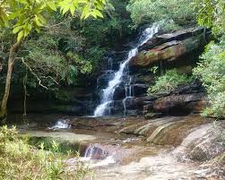 Somersby falls picnic area is the perfect place to escape from everyday life. Nice Place For Kids Somersby Falls Picnic Grounds Gosford Traveller Reviews Tripadvisor
