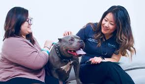In 2016, the founders of access veterinary care realized their shared vision of a different kind of veterinary care. True Care For Pets The Skill To Heal The Spirit To Care