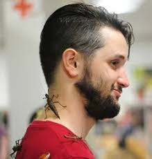 Pardon Me, There's Something