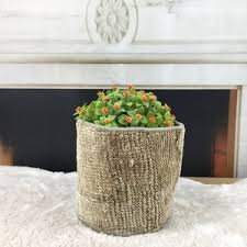 Image result for 5766775753 asva