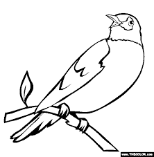 The bird coloring book above by cornell has the best pages for in the passeriformes order. Robin Coloring Pages Kidsuki