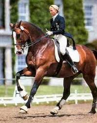 Margit Otto Crepin On Corlandus Dressage Horse Gear Horses