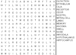 Use our word search generator to create your own word search for kids. Https Faculty Washington Edu Chudler Pdf Search Pdf
