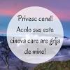 Poze de coperta pentru facebook citate adolescenți citate. Https Encrypted Tbn0 Gstatic Com Images Q Tbn And9gcs2hmaly X1qwvqg5wc5nj1xk3pmw9uajjhggumymyeec Gcxkg Usqp Cau