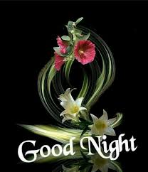 Good Night Images For Whatsapp Free Download Hd Wallpaper Pictures Photos Of Good Night Good Night Image Good Night Flowers Good Night
