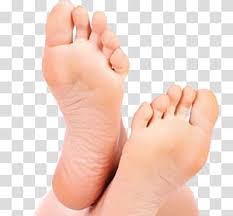 Footprint Podiatry Foot Care Transparent Background Png