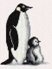 Cross stitch kit from klart featuring a toy mitten with christmas penguin! Penguins Cross Stitch Pattern By Crosstitch Com Crosstitch Com