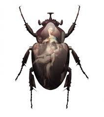 Magnus Gjoen S Art Art Bug Art Insect Art