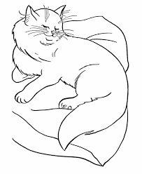 Even though each species has its own distinct looks and characteristics. Cat Coloring Pages Printable Cat Coloring Page Animal Coloring Pages Dog Coloring Page