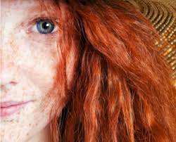 Red hair synthetic lace front wigs long silky straight hair lace wigs for women. How To Make All Natural Red Hair Dye The Diy And Pictures Pink Fortitude Llc