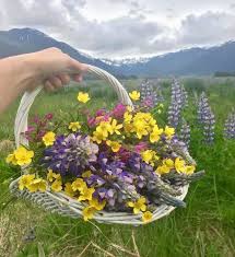 Floral artistry 〰️ modern and creative floristry for styling, weddings, interiors and events 〰️ linktr.ee/designbynatureflowers. Tumblr