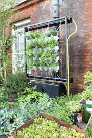 Gardeners with little experience in hydroponic gardening should start with something small. Hydroponics Explained Easy Understandable Methods For Plant Cultivation