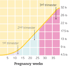 Weight Gain Pregnancy Weight Gain Week By Week