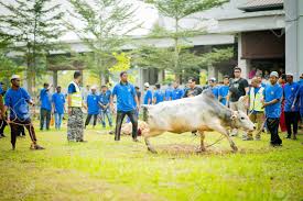 Comprehensive list of national public holidays that are celebrated in malaysia during 2019 with dates and information on the origin and meaning of holidays. Selangor Malaysia August 11 2019 Sacrifice Feast Also Stock Photo Picture And Royalty Free Image Image 129933650