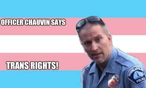States memes like derek chauvin meme have produced a significant stir over the internet. Trans Rights Trans Rights Know Your Meme