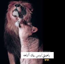 اسد لبوه Lion Cute Baby Boy Outfits Drawing Quotes Girly Images