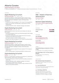 digital marketing consultant resume