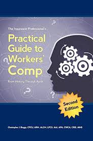 What is workers compensation insurance? The Insurance Professional S Practical Guide To Workers Compensation Von Boggs Chris Good Paperback 2015 Lowkeybooks