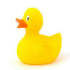 Sensory bath toys encourage healthy development when it comes to picking out baby bath toys, start with (modernized) basics, like duck bath toys. Https Encrypted Tbn0 Gstatic Com Images Q Tbn And9gcq5e3zdotdhvkk8ge5ghcwmemvcp5l0 Rr1ehj2dd8481t5nsbt Usqp Cau