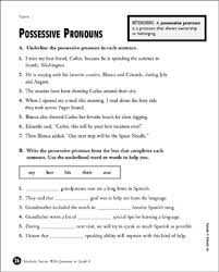 possessive pronouns grade 4 printable test prep tests